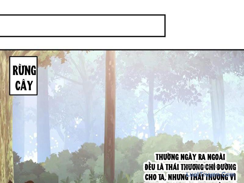 Nữ Phụ Tu Tiên Từ Chối Kịch Bản Pháo Hôi - Chapter 13 - Page 15