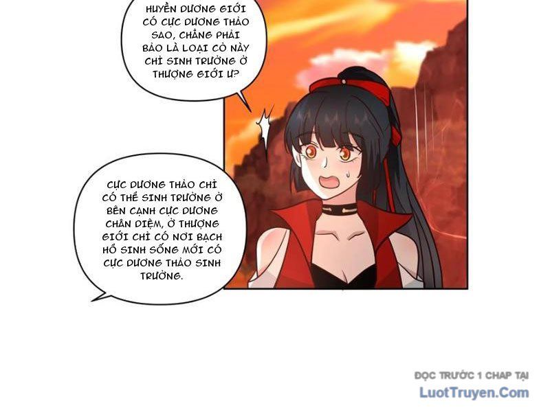 Nữ Phụ Tu Tiên Từ Chối Kịch Bản Pháo Hôi - Chapter 14 - Page 12