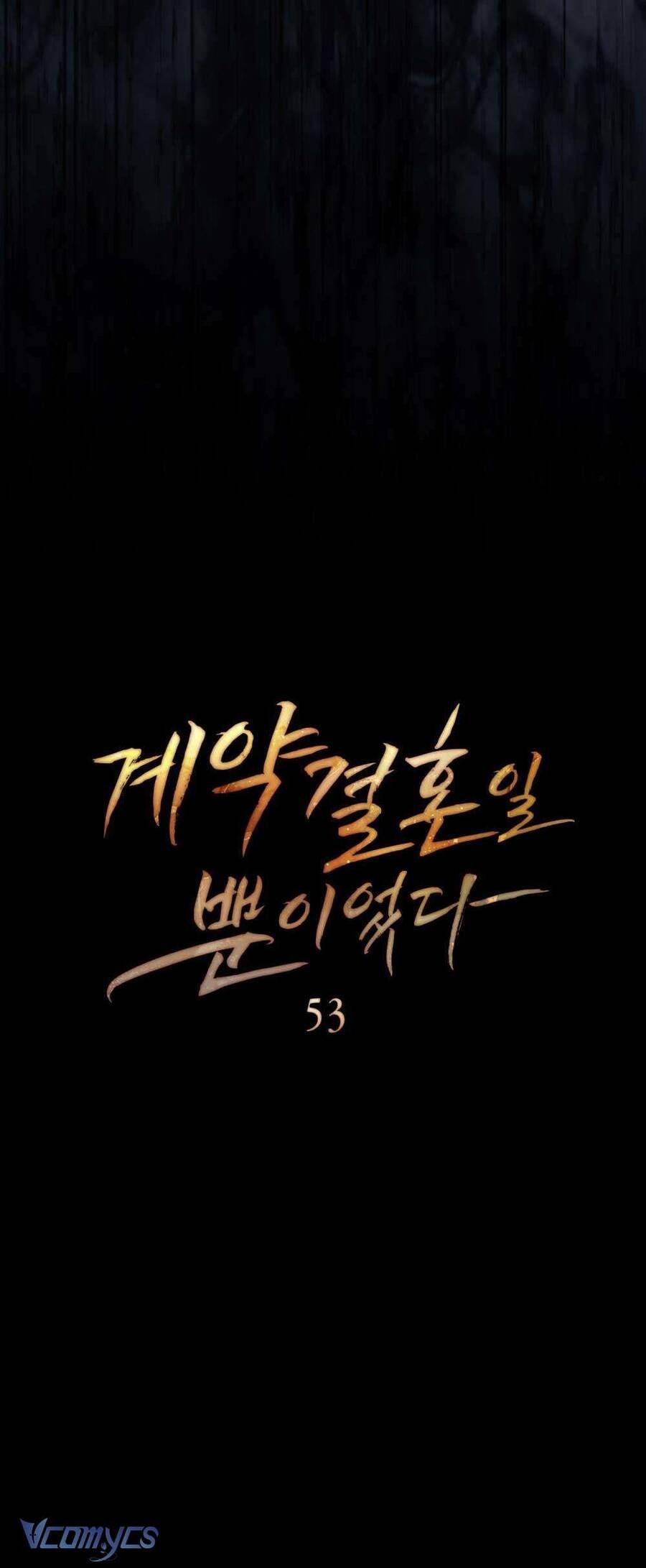 Hôn Nhân Khế Ước - Chapter 53 - Page 16