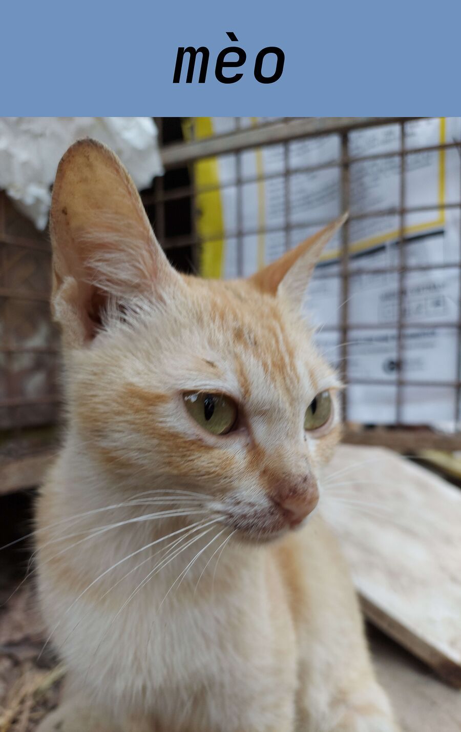 Thiên Sứ Nhà Bên - Chapter 24.4 - Page 16