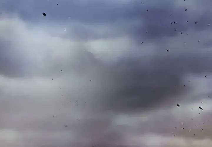 Quán Trọ Phong Ba - Chapter 112 - Page 5