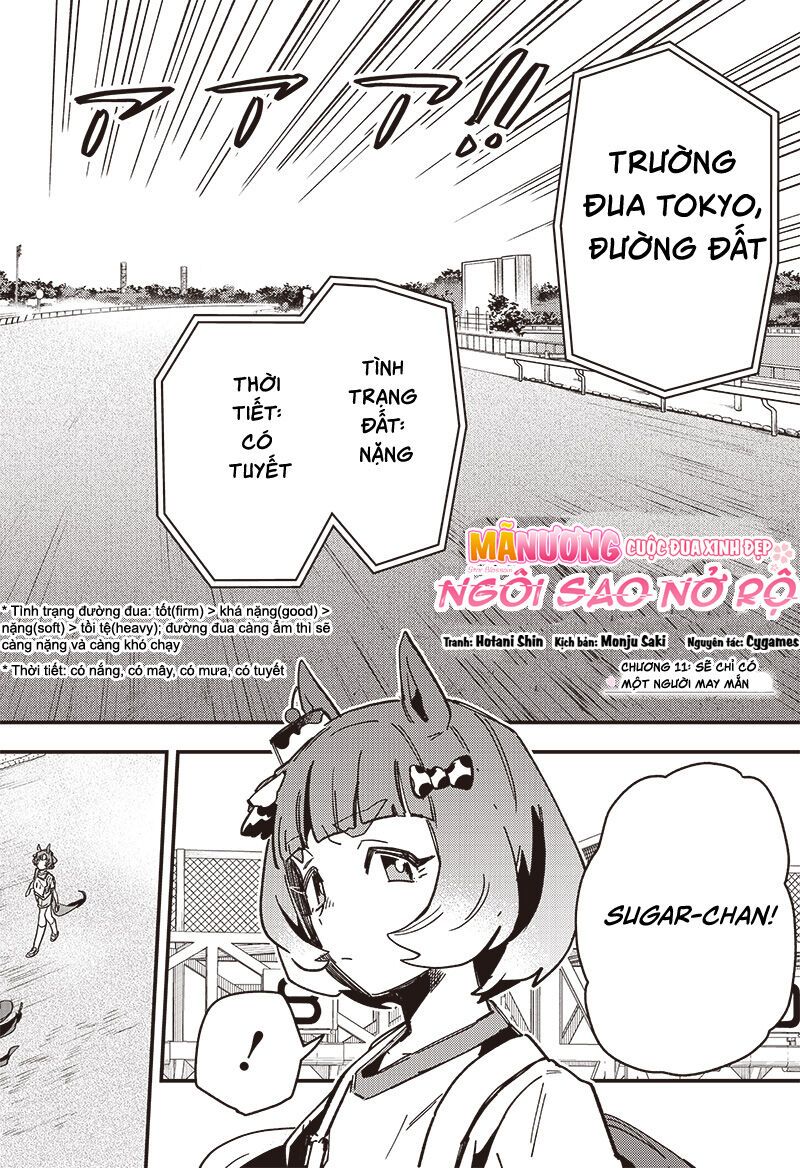 Uma Musume: Pretty Derby - Star Blossom - Chapter 11 - Page 3