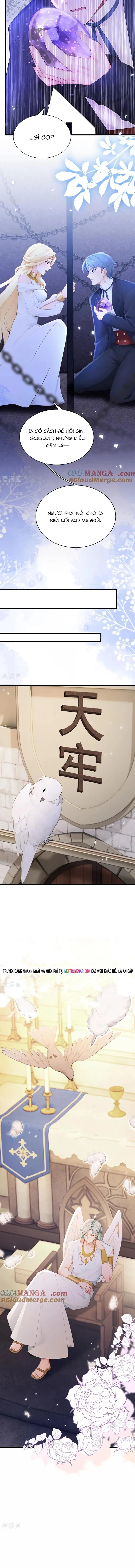 Hệ Thống Xuyên Nhanh: Ác Nam Không Dễ Chọc - Chapter 235 - Page 5