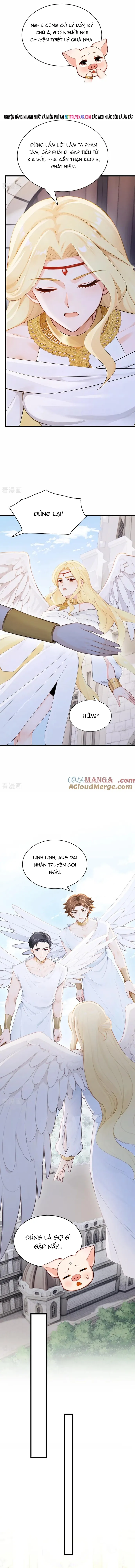 Hệ Thống Xuyên Nhanh: Ác Nam Không Dễ Chọc - Chapter 235 - Page 7