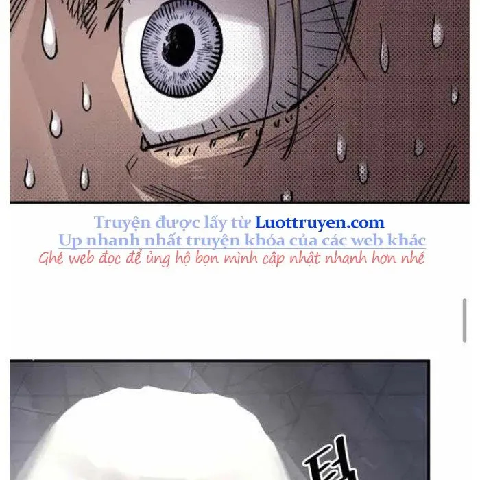 Sắp Xuất Ngũ Thì Isekai - Chapter 163 - Page 224