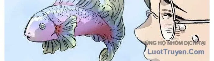 Sắp Xuất Ngũ Thì Isekai - Chapter 166 - Page 255