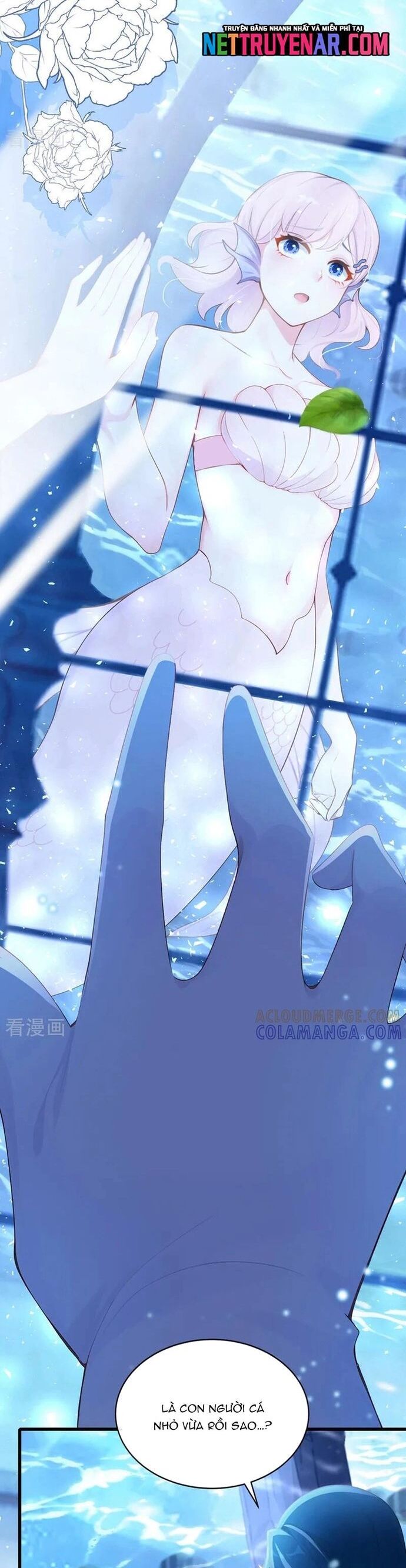 Hệ Thống Xuyên Nhanh: Ác Nam Không Dễ Chọc - Chapter 244 - Page 5