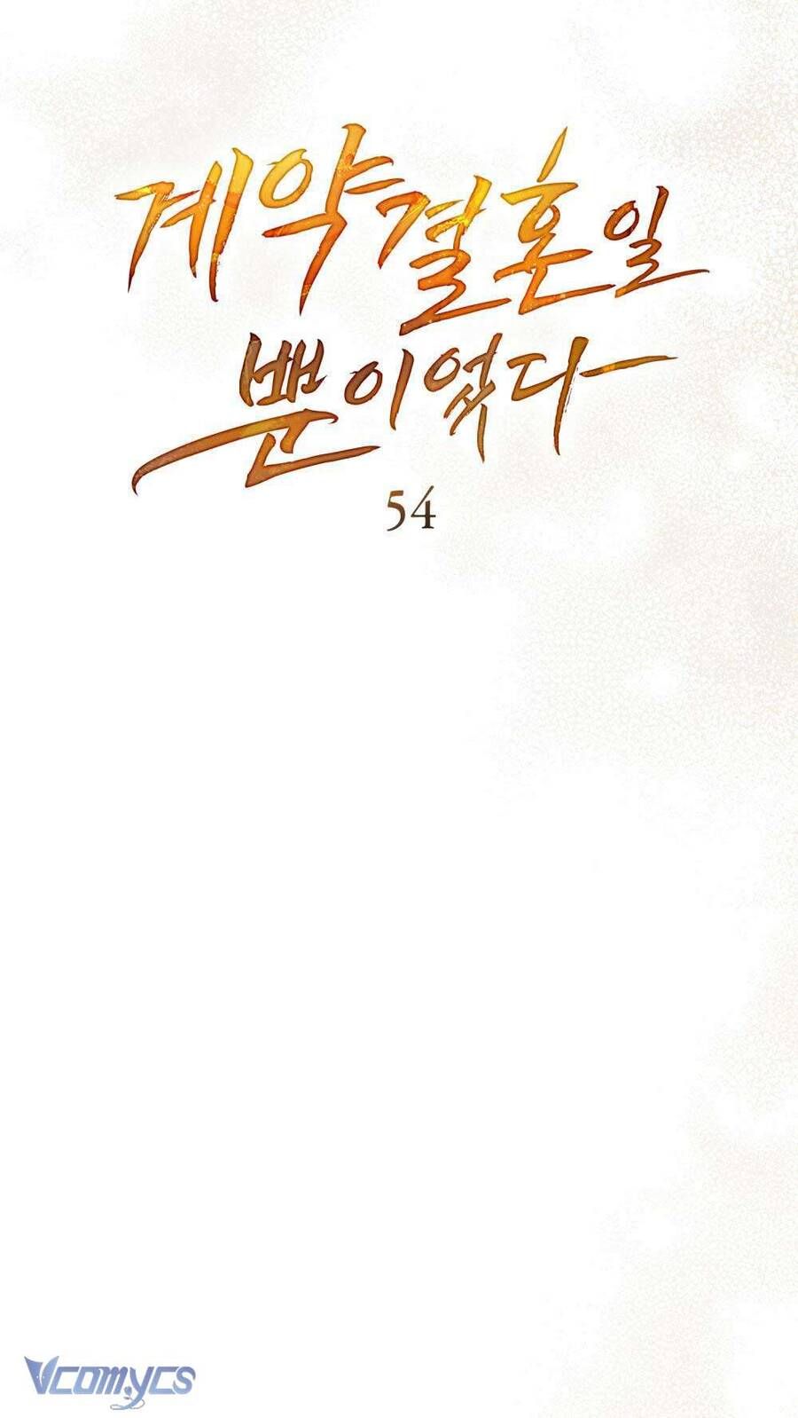 Hôn Nhân Khế Ước - Chapter 54 - Page 25