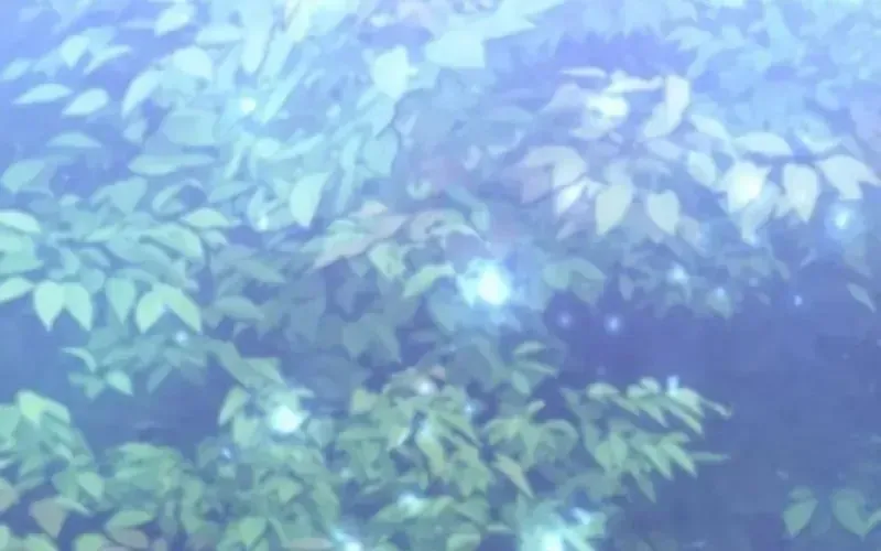 Thần Thịnh Vượng - Chapter 11 - Page 401