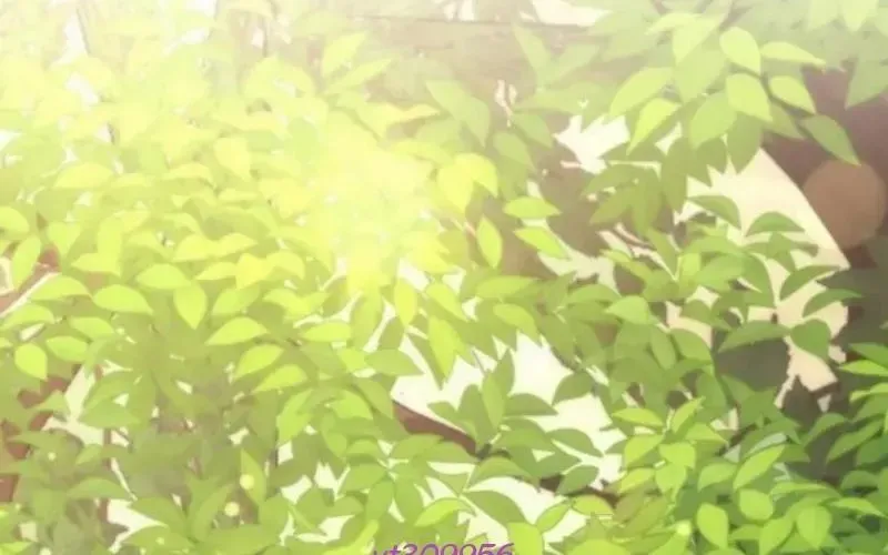 Thần Thịnh Vượng - Chapter 11 - Page 504