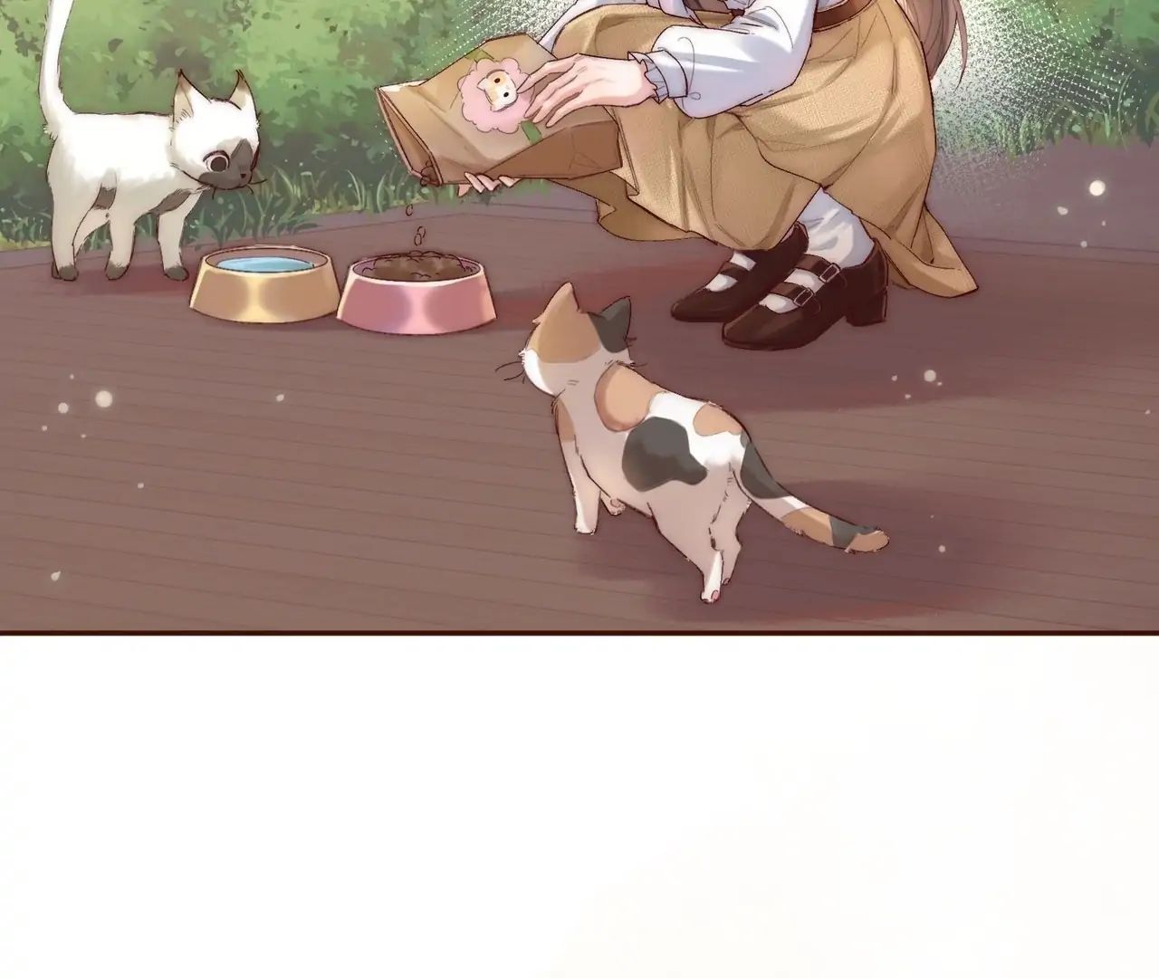 Vãn Triều - Chapter 3 - Page 18