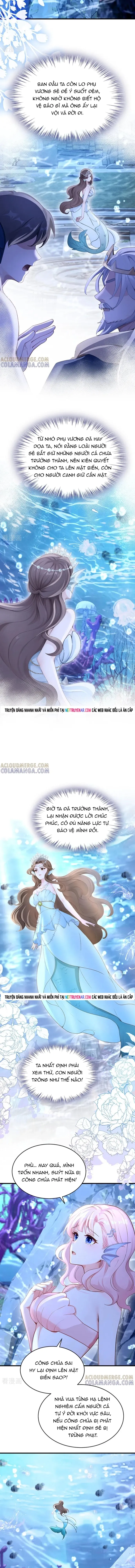 Hệ Thống Xuyên Nhanh: Ác Nam Không Dễ Chọc - Chapter 247 - Page 5