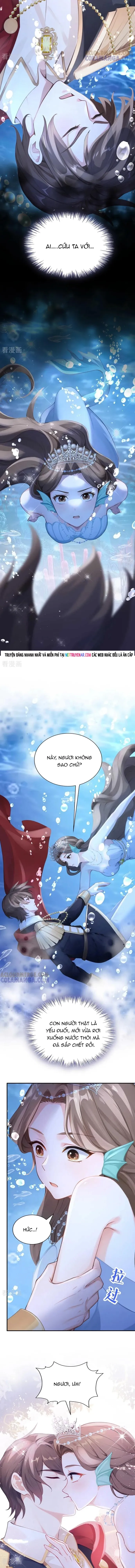 Hệ Thống Xuyên Nhanh: Ác Nam Không Dễ Chọc - Chapter 248 - Page 4