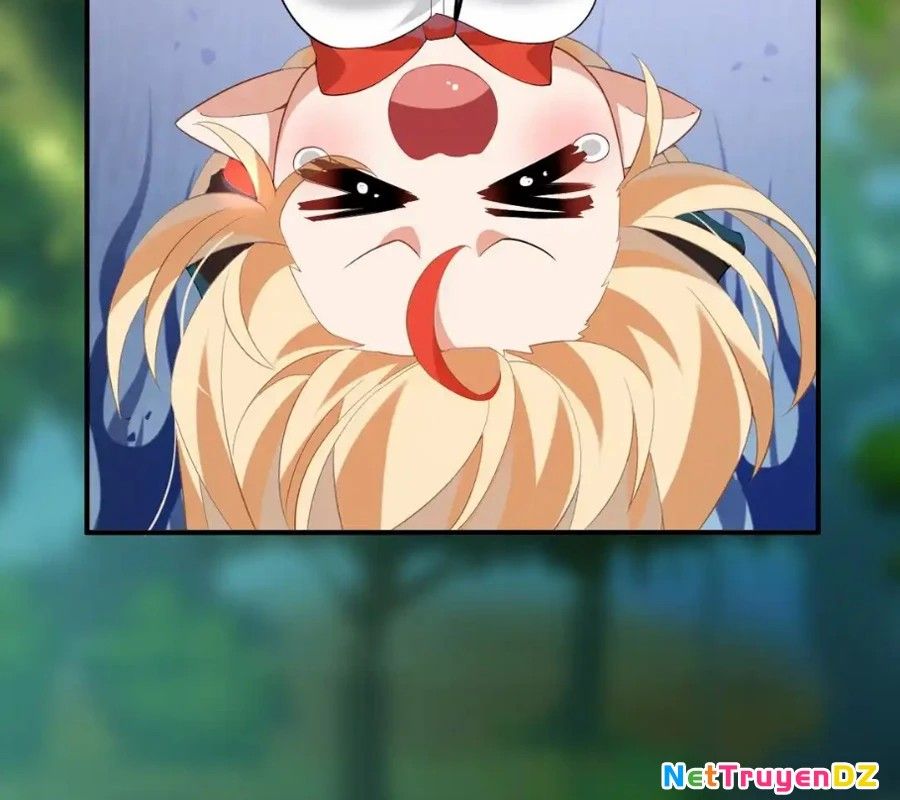 Vượt Cấp Xuyên Không, Tại Sao Tôi Lại Trở Thành Tiểu Thư Tu Sĩ? - Chapter 11 - Page 12