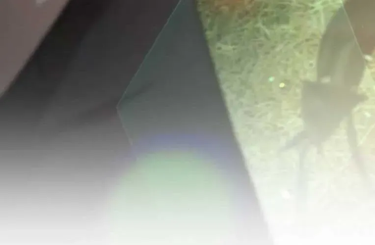 Trường Mẫu Giáo Thần Thú - Chapter 46 - Page 5