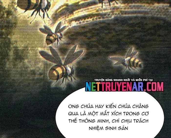 Mạt Thế Trùng Sinh: Ta Dựa Vào Mở Rương Vấn Dỉnh Đỉnh Phong - Chapter 71 - Page 88