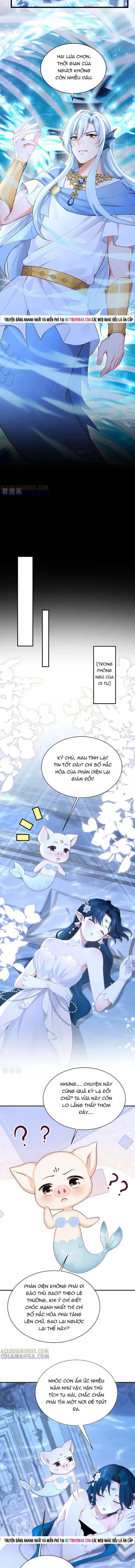 Hệ Thống Xuyên Nhanh: Ác Nam Không Dễ Chọc - Chapter 257 - Page 4