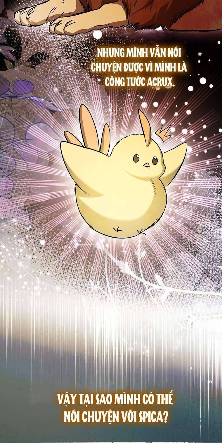 Chị Gái Tôi Là Nhân Vật Chính - Chapter 18 - Page 25