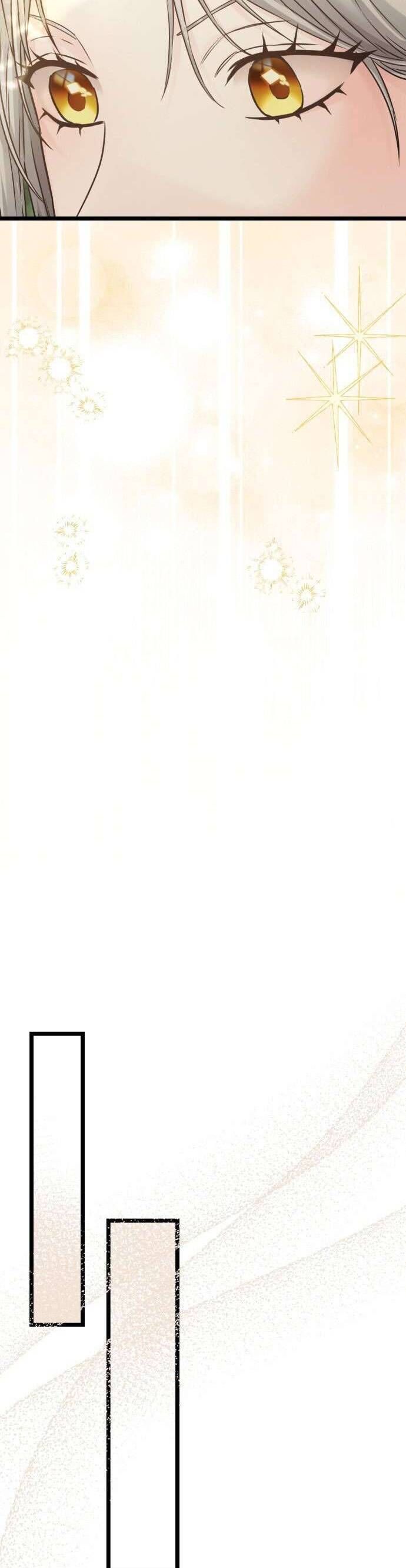 Trên Danh Nghĩa Vợ Chồng - Chapter 19 - Page 27