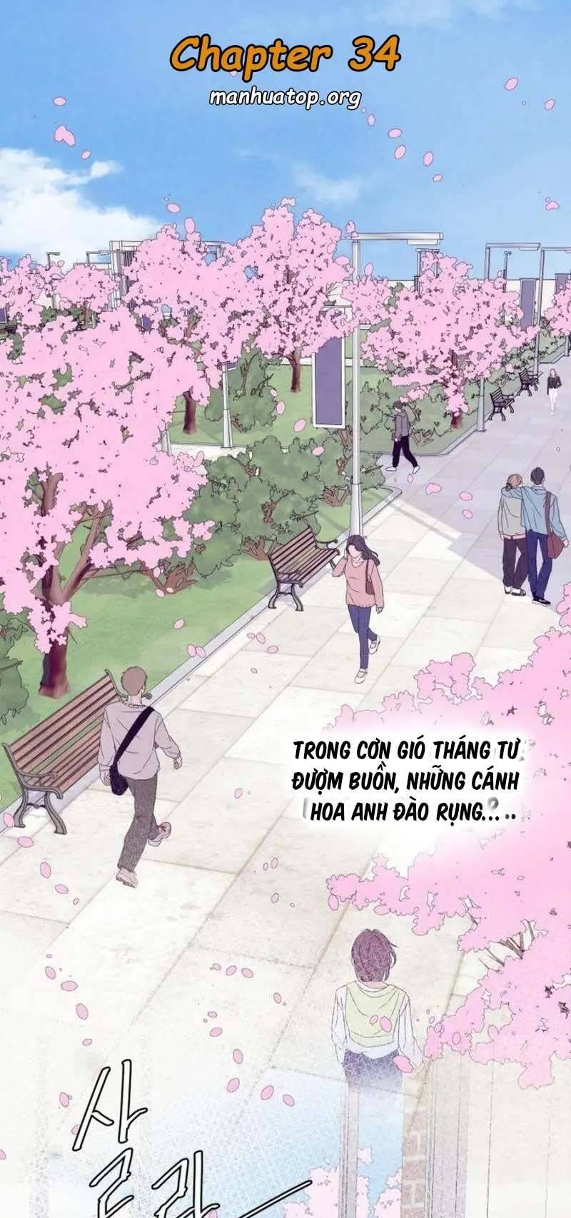 Tôi Muốn Ngừng Việc Giết Chóc Chapter 34 - Trang 1