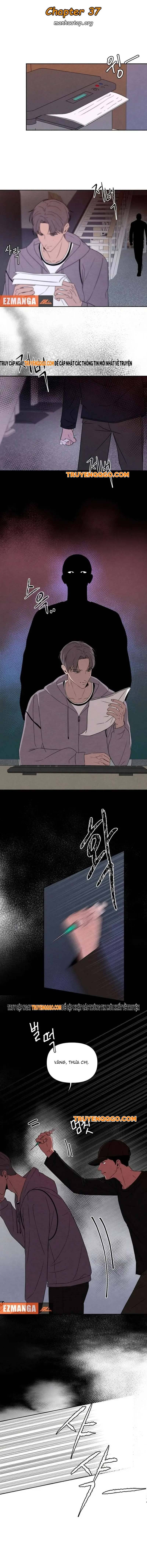 Tôi Muốn Ngừng Việc Giết Chóc Chapter 37 - Trang 1