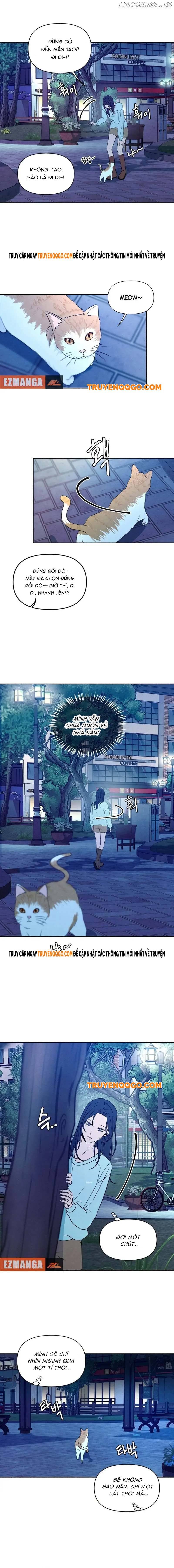 Tôi Muốn Ngừng Việc Giết Chóc Chapter 37 - Trang 8