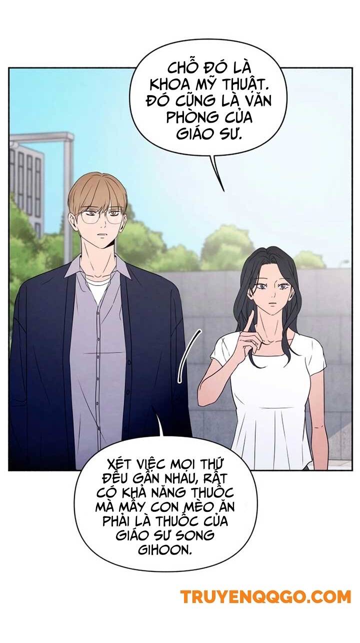 Tôi Muốn Ngừng Việc Giết Chóc Chapter 41 - Trang 10