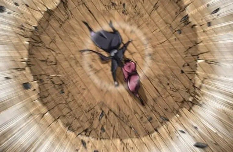 Quyền Vương Phục Sinh - Chapter 24 - Page 207