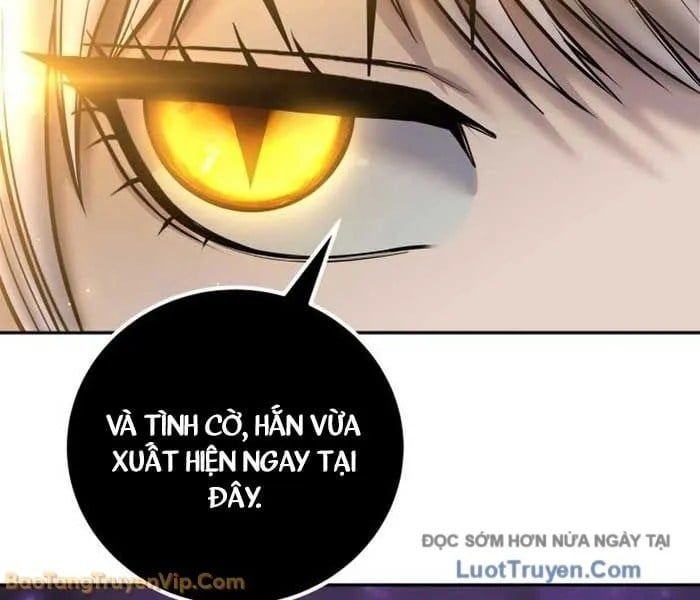 Tôi Mạnh Hơn Anh Hùng - Chapter 94 - Page 243