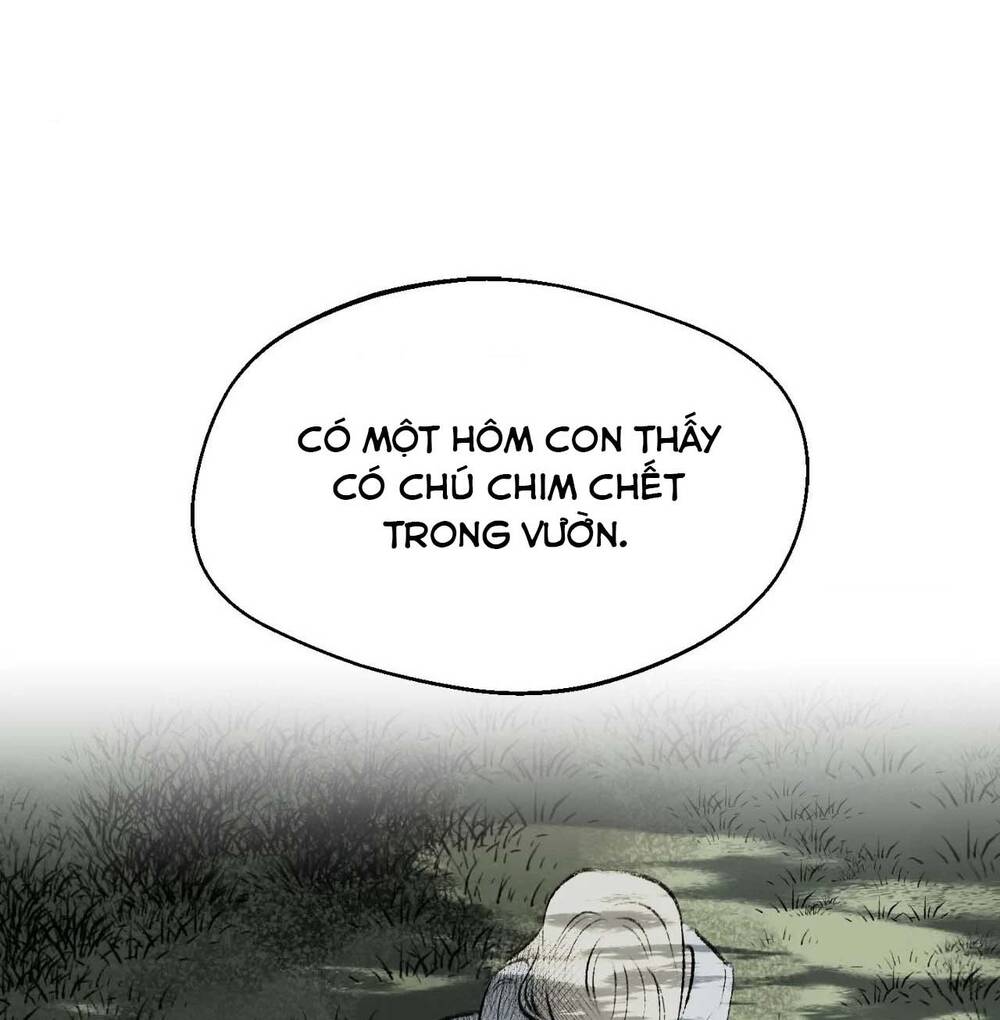 Gửi Lời Chúc Phúc Của Melt Tới Người - Chapter 40 - Page 13