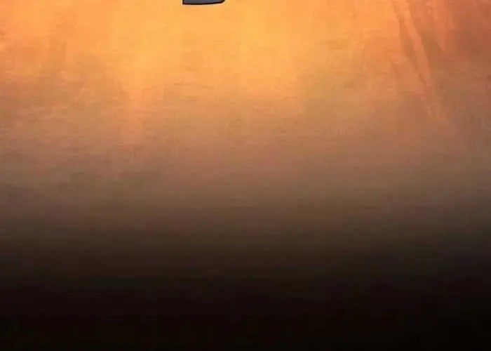 Tôi đã trở thành quái vật không gian - Chapter 70 - Page 41