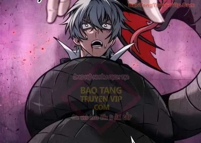 Mạo Hiểm Giả Cuối Cùng - Chapter 93 - Page 225