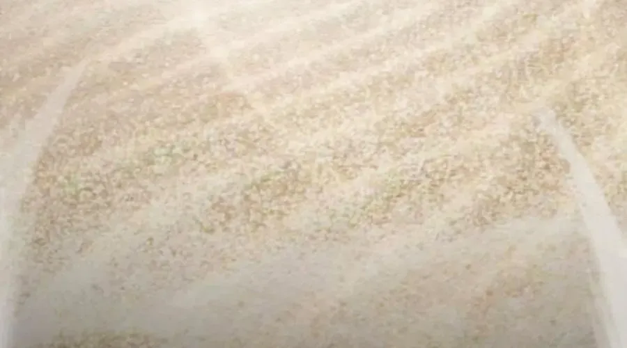 Cậu Bé Của Thần Chết - Chapter 301 - Page 81