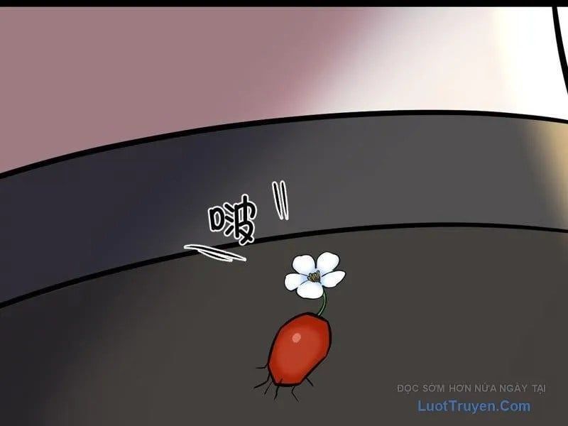 Sau Khi Đầu Thai, Ta Được Kẻ Thù Khắc Thành Vô Địch - Chapter 31 - Page 30