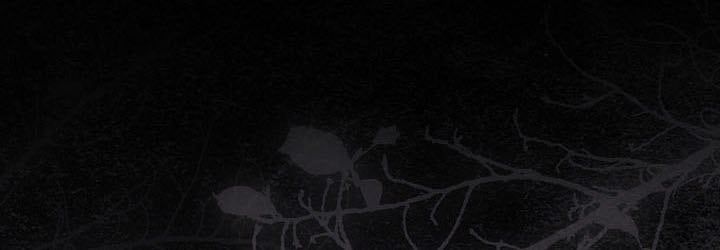 Thiên Tài Võ Thuật Hồi Quy - Chapter 112 - Page 51