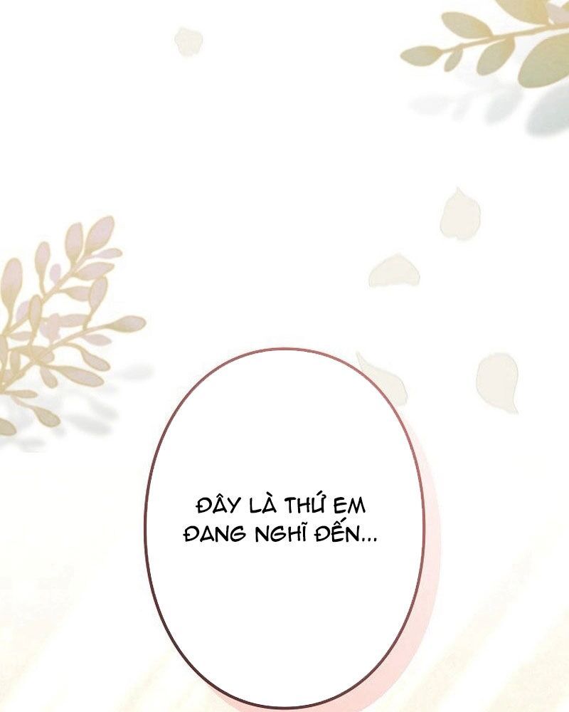 Sự Tái Sinh Của Nhà Thiết Kế Tài Ba - Chapter 10 - Page 15