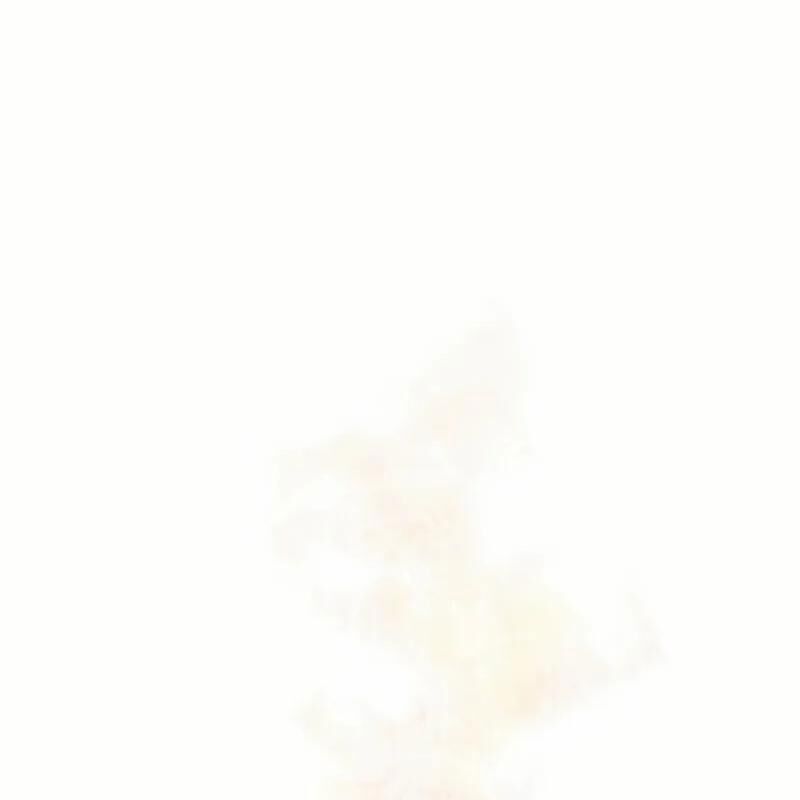 Sự Tái Sinh Của Nhà Thiết Kế Tài Ba - Chapter 13 - Page 41