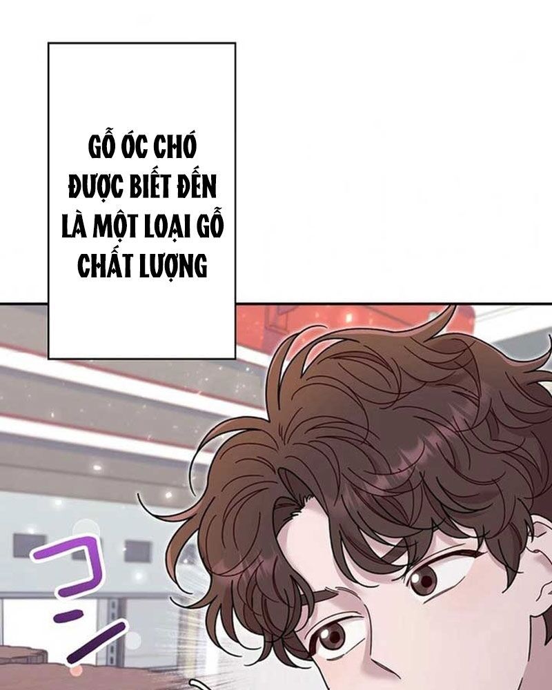 Sự Tái Sinh Của Nhà Thiết Kế Tài Ba - Chapter 19 - Page 15