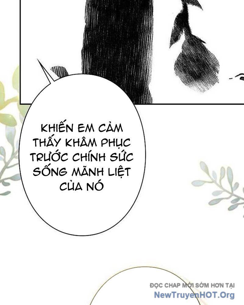 Sự Tái Sinh Của Nhà Thiết Kế Tài Ba - Chapter 30 - Page 76