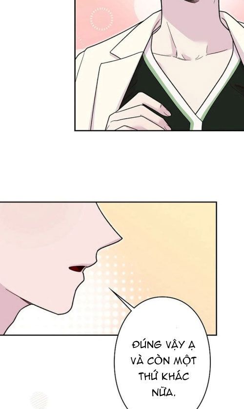 Sự Tái Sinh Của Nhà Thiết Kế Tài Ba - Chapter 7 - Page 17