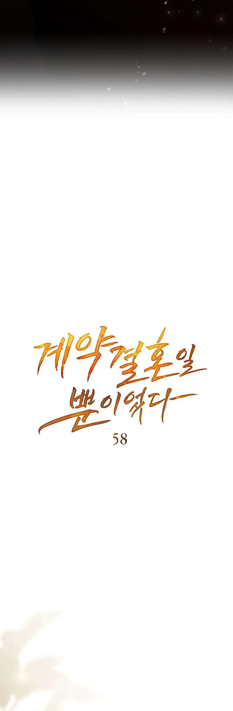 Hôn Nhân Khế Ước - Chapter 58 - Page 8