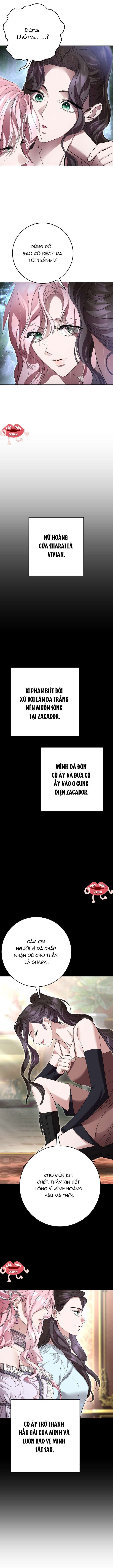 Cuộc Hôn Nhân Bị Bắt Cóc Xuyên Thời Gian Của Hoàng Hậu - Chapter 31 - Page 12