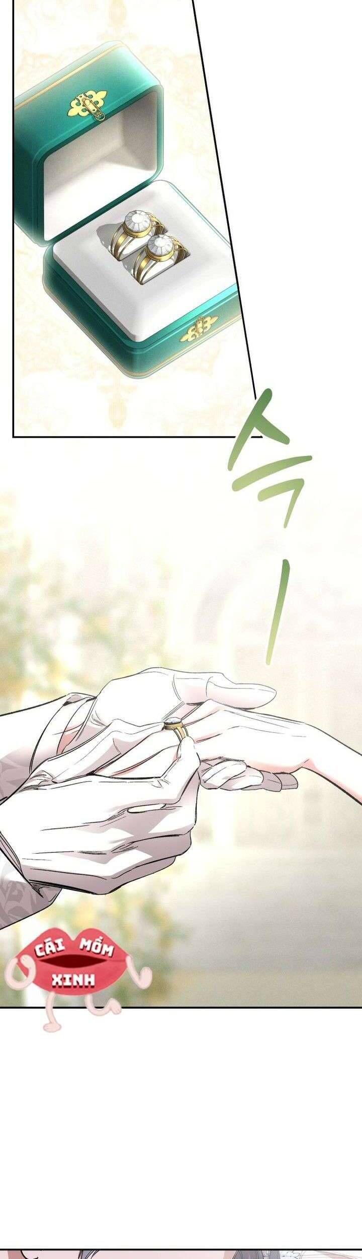 Cuộc Hôn Nhân Bị Bắt Cóc Xuyên Thời Gian Của Hoàng Hậu - Chapter 38 - Page 22