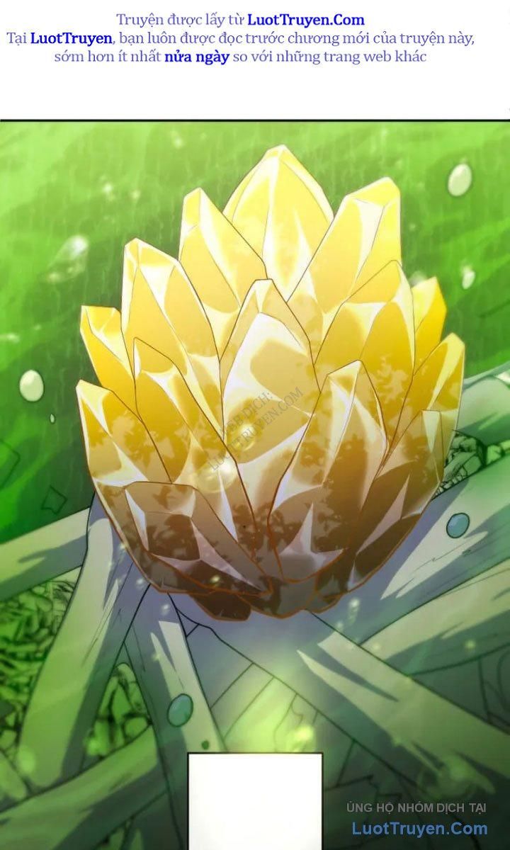 Đại Hiền Giả Sở Hữu Trăm Ma Thạch - Chapter 8 - Page 17