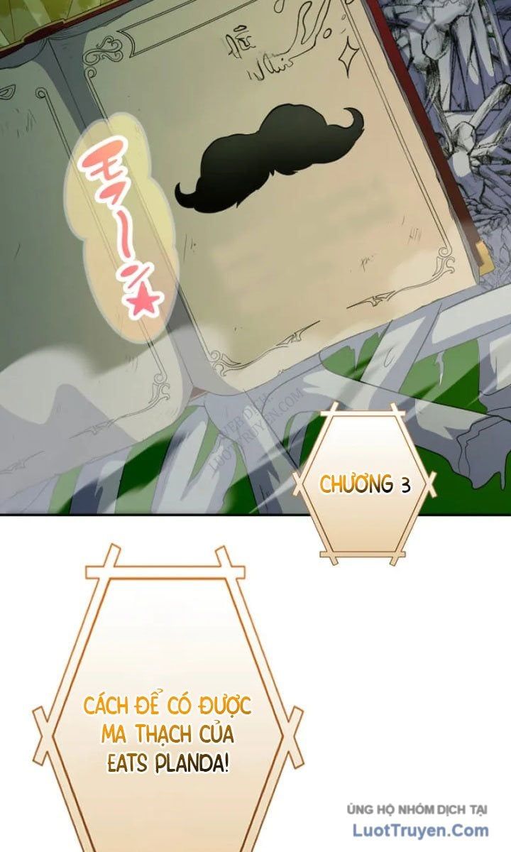 Đại Hiền Giả Sở Hữu Trăm Ma Thạch - Chapter 8 - Page 37