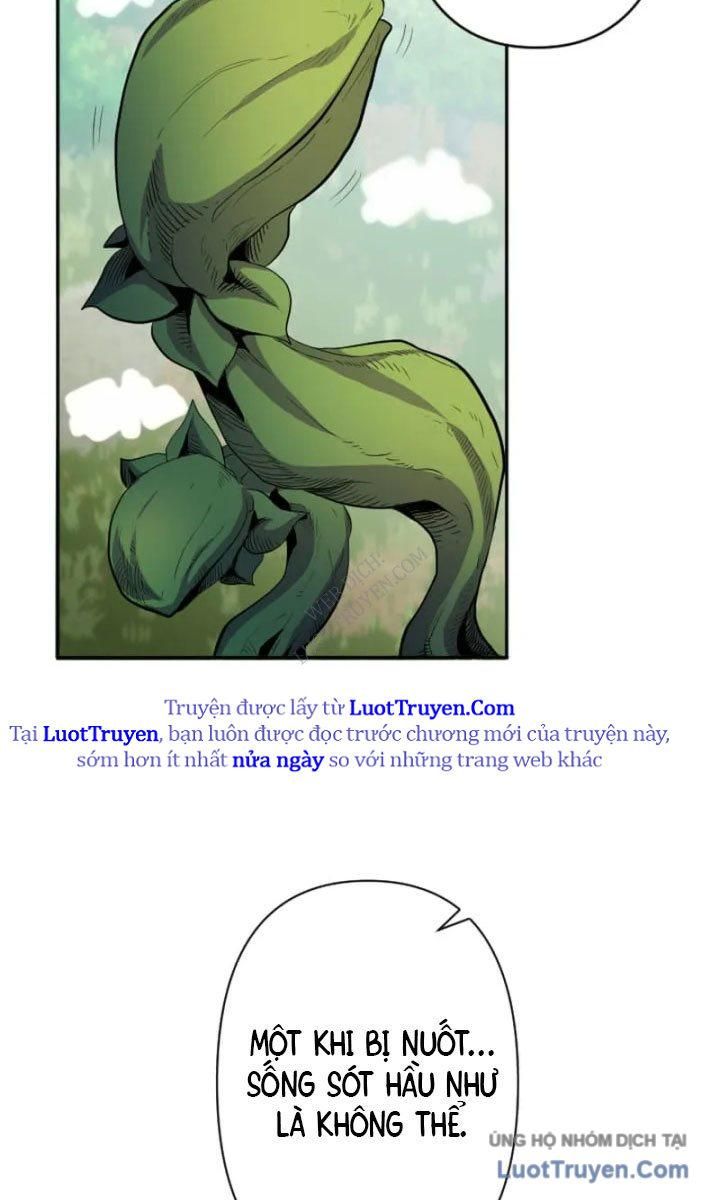 Đại Hiền Giả Sở Hữu Trăm Ma Thạch - Chapter 8 - Page 4