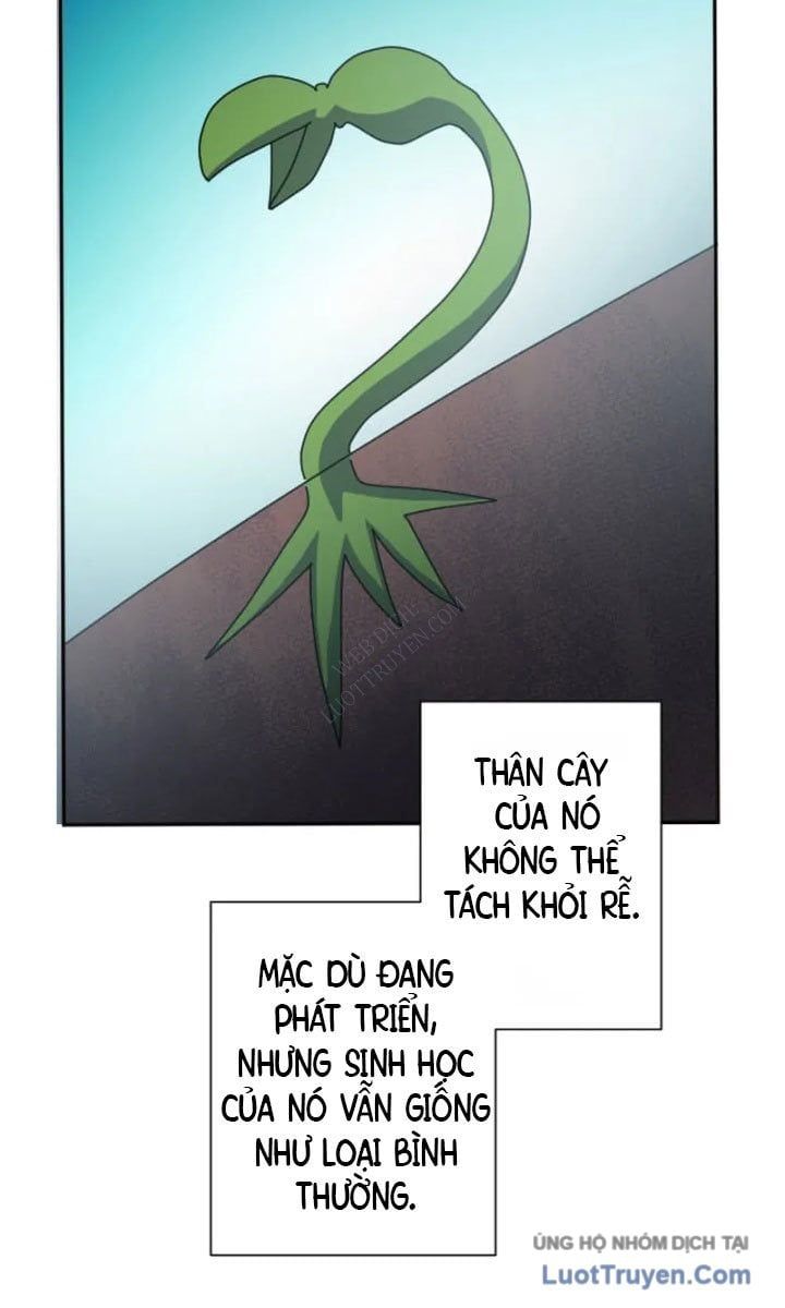 Đại Hiền Giả Sở Hữu Trăm Ma Thạch - Chapter 8 - Page 74