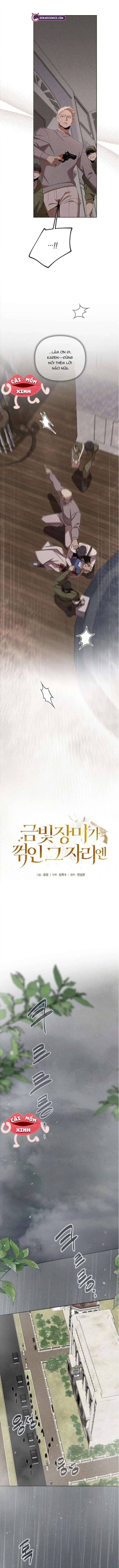 Nơi Đóa Hồng Vàng Úa Tàn - Chapter 16 - Page 3