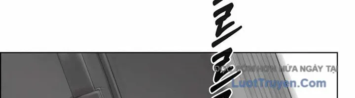 Người Đàn Ông Thực Thụ - Chapter 223 - Page 312