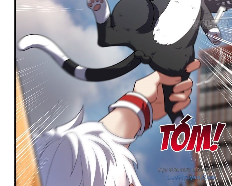 Ngự Thú Tiến Hóa - Chapter 4 - Page 19
